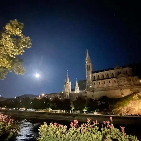 Du Clos Fleuri 3* Лурд